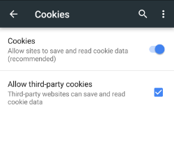enable cookies safari on ipad